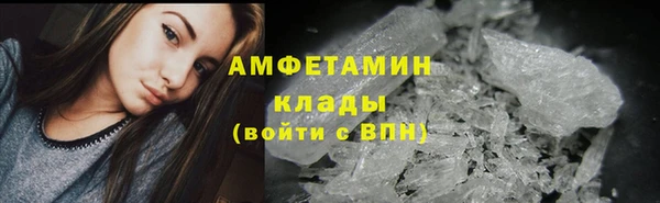 прущие грибы Армянск