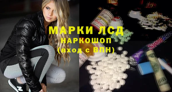 прущие грибы Армянск