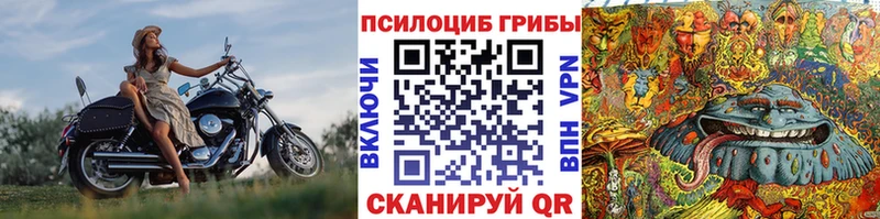 Купить где  Курганинск  Галлюциногенные грибы Magic Shrooms 
