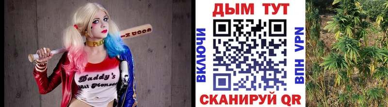 Купить  Курганинск  Шишки марихуана семена 